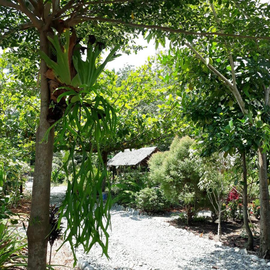 Magpie Homestay & Jungle Trekking Only For Guest Trekking With Us 부킷 라왕 외부 사진