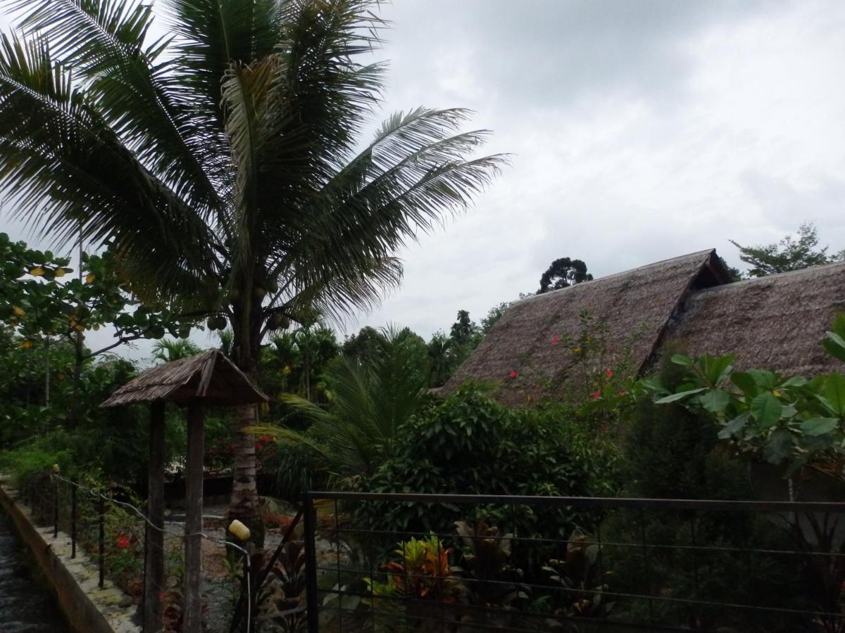 Magpie Homestay & Jungle Trekking Only For Guest Trekking With Us 부킷 라왕 외부 사진