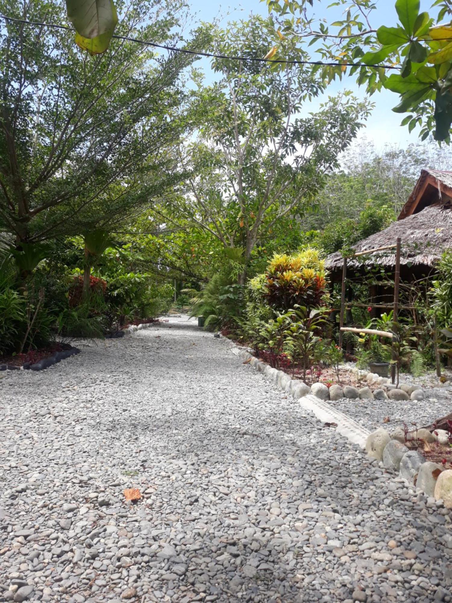 Magpie Homestay & Jungle Trekking Only For Guest Trekking With Us 부킷 라왕 외부 사진