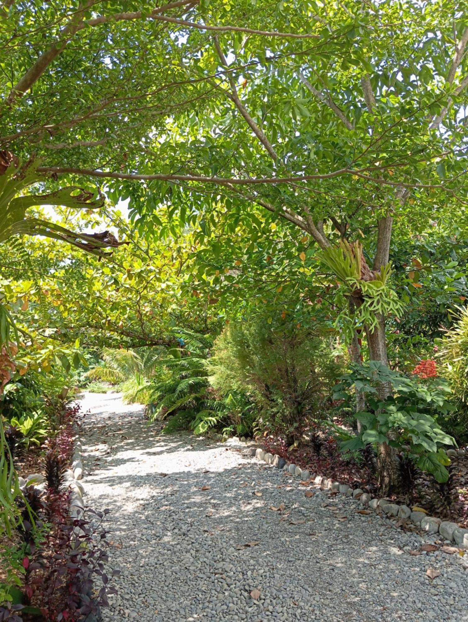 Magpie Homestay & Jungle Trekking Only For Guest Trekking With Us 부킷 라왕 외부 사진