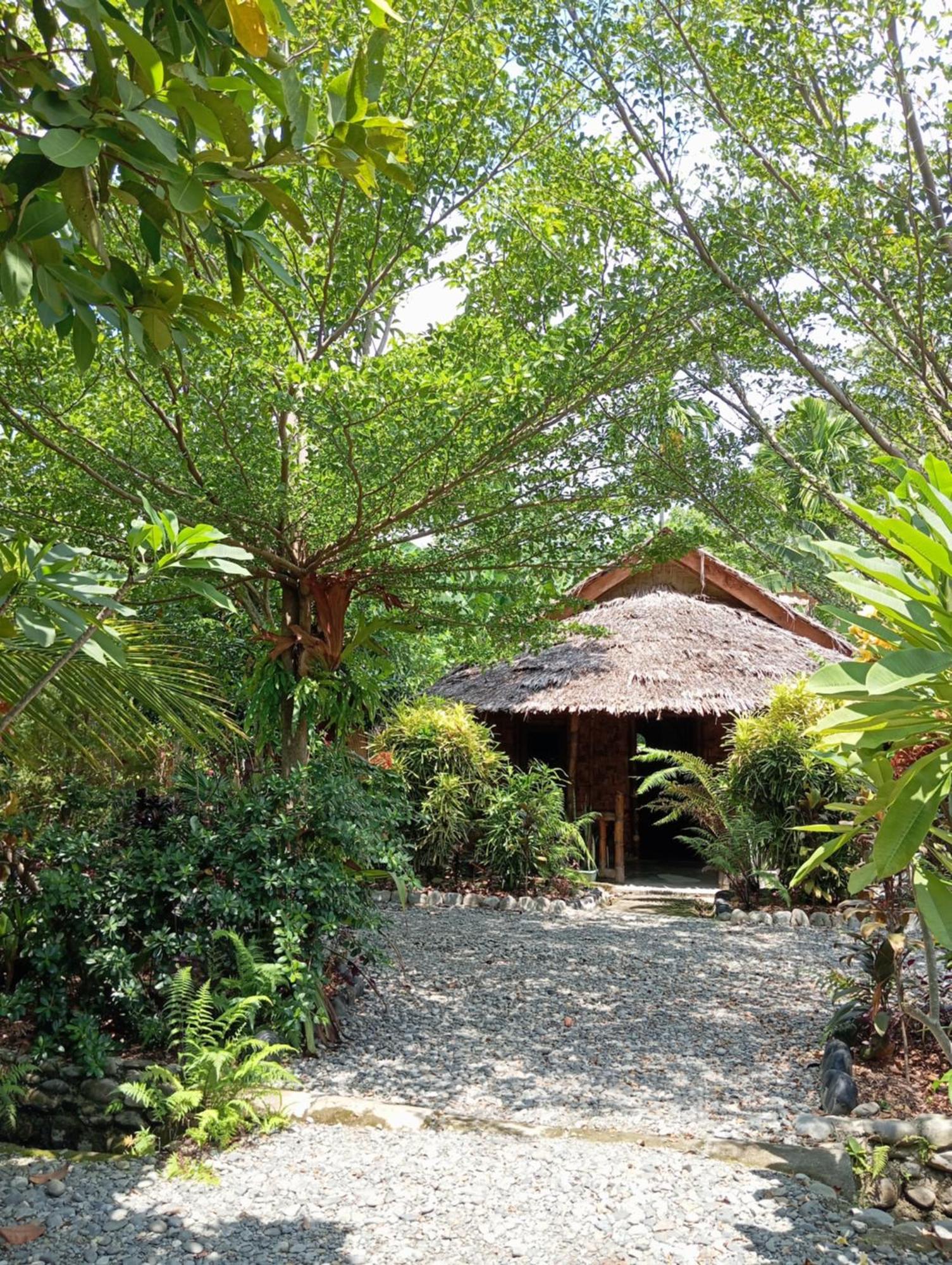 Magpie Homestay & Jungle Trekking Only For Guest Trekking With Us 부킷 라왕 외부 사진