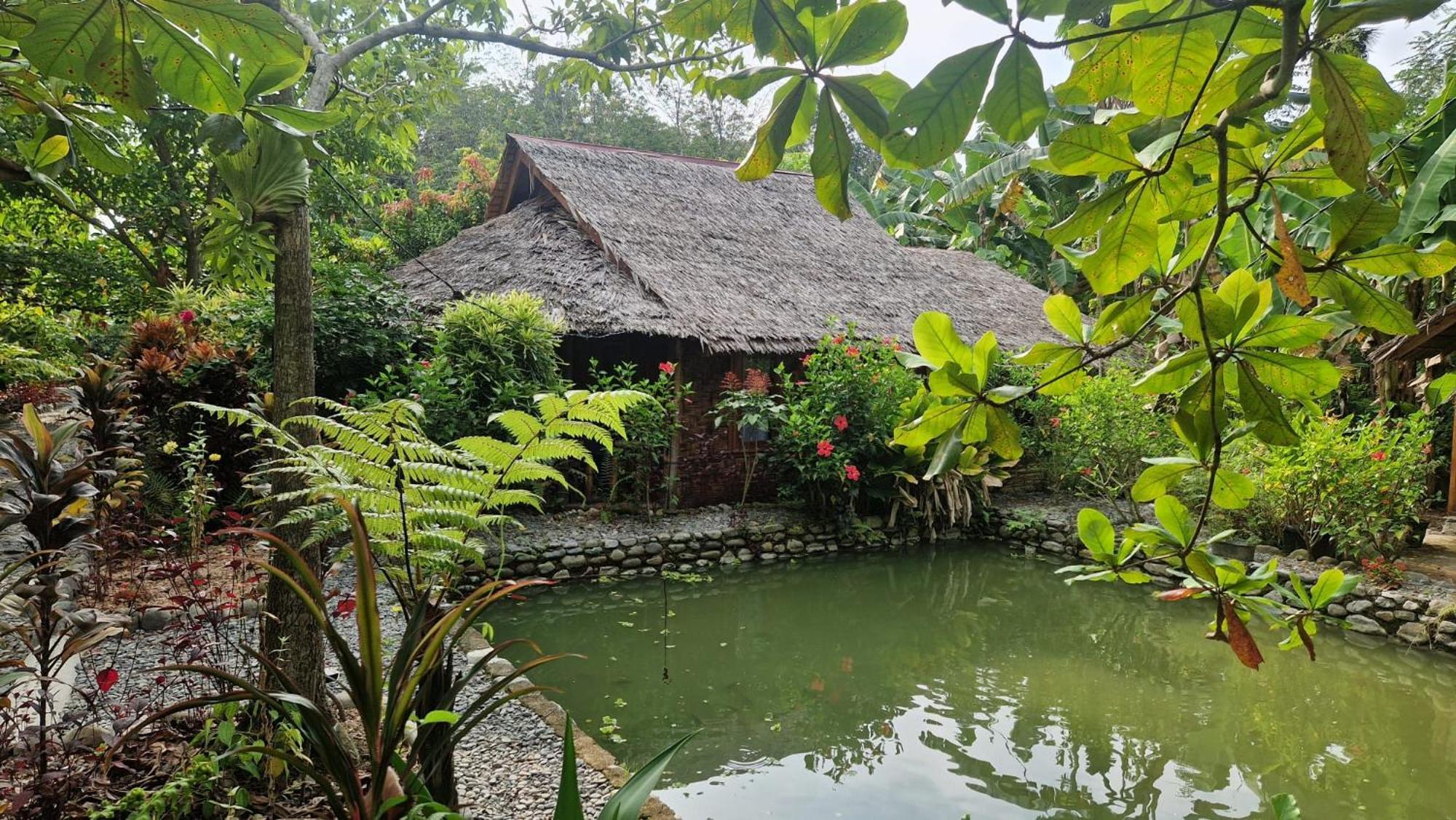 Magpie Homestay & Jungle Trekking Only For Guest Trekking With Us 부킷 라왕 외부 사진