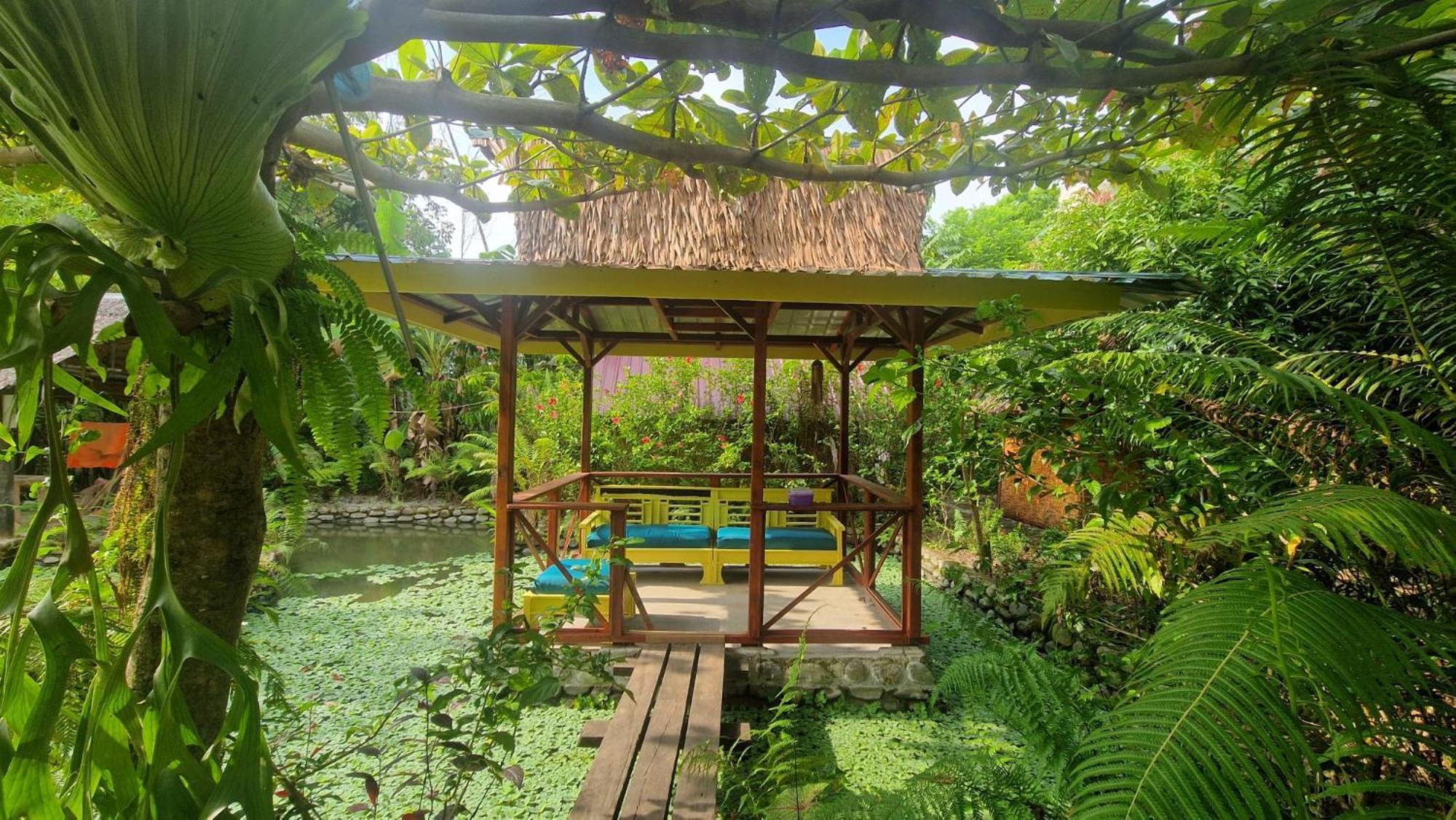 Magpie Homestay & Jungle Trekking Only For Guest Trekking With Us 부킷 라왕 외부 사진