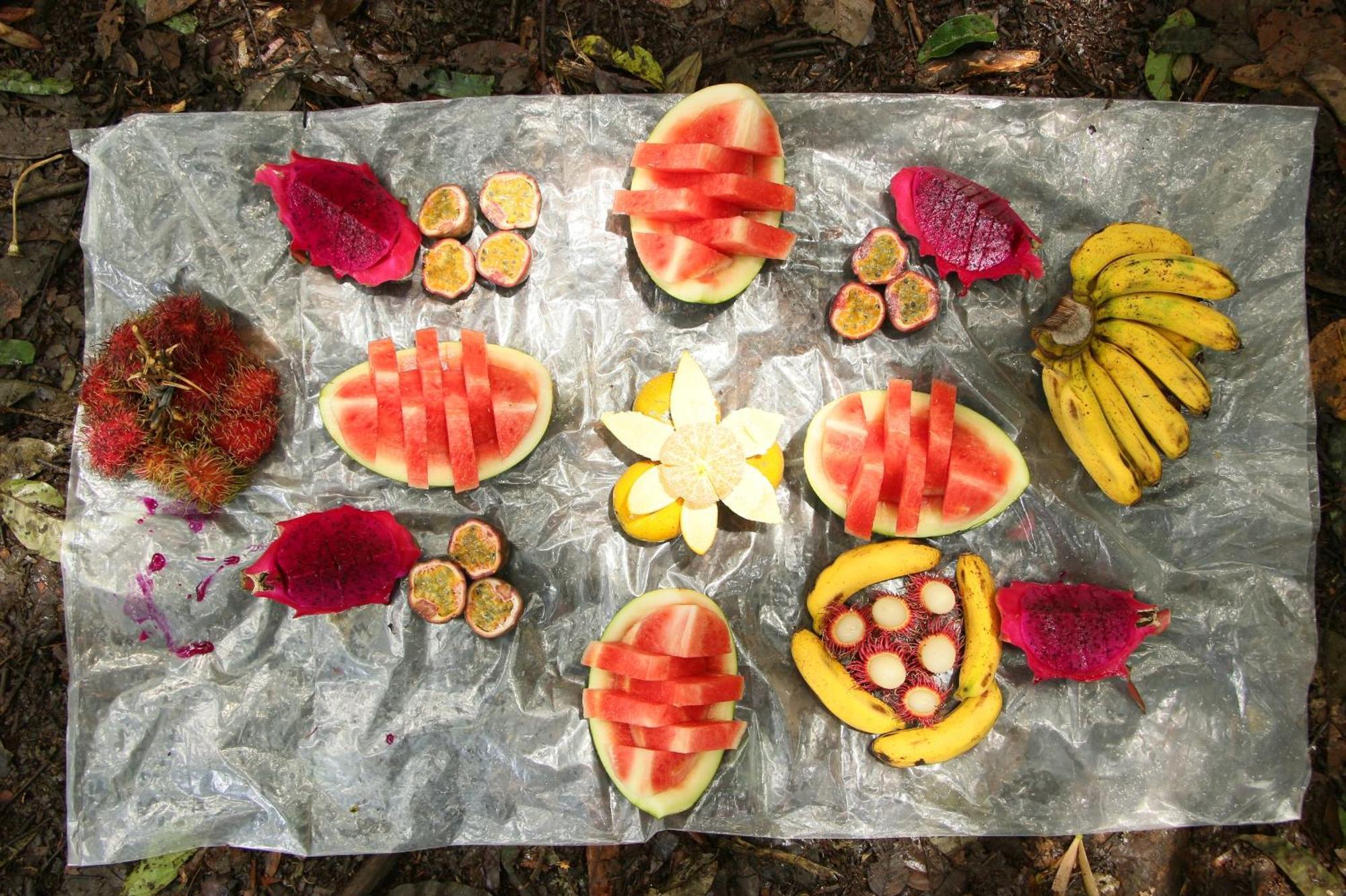 Magpie Homestay & Jungle Trekking Only For Guest Trekking With Us 부킷 라왕 외부 사진