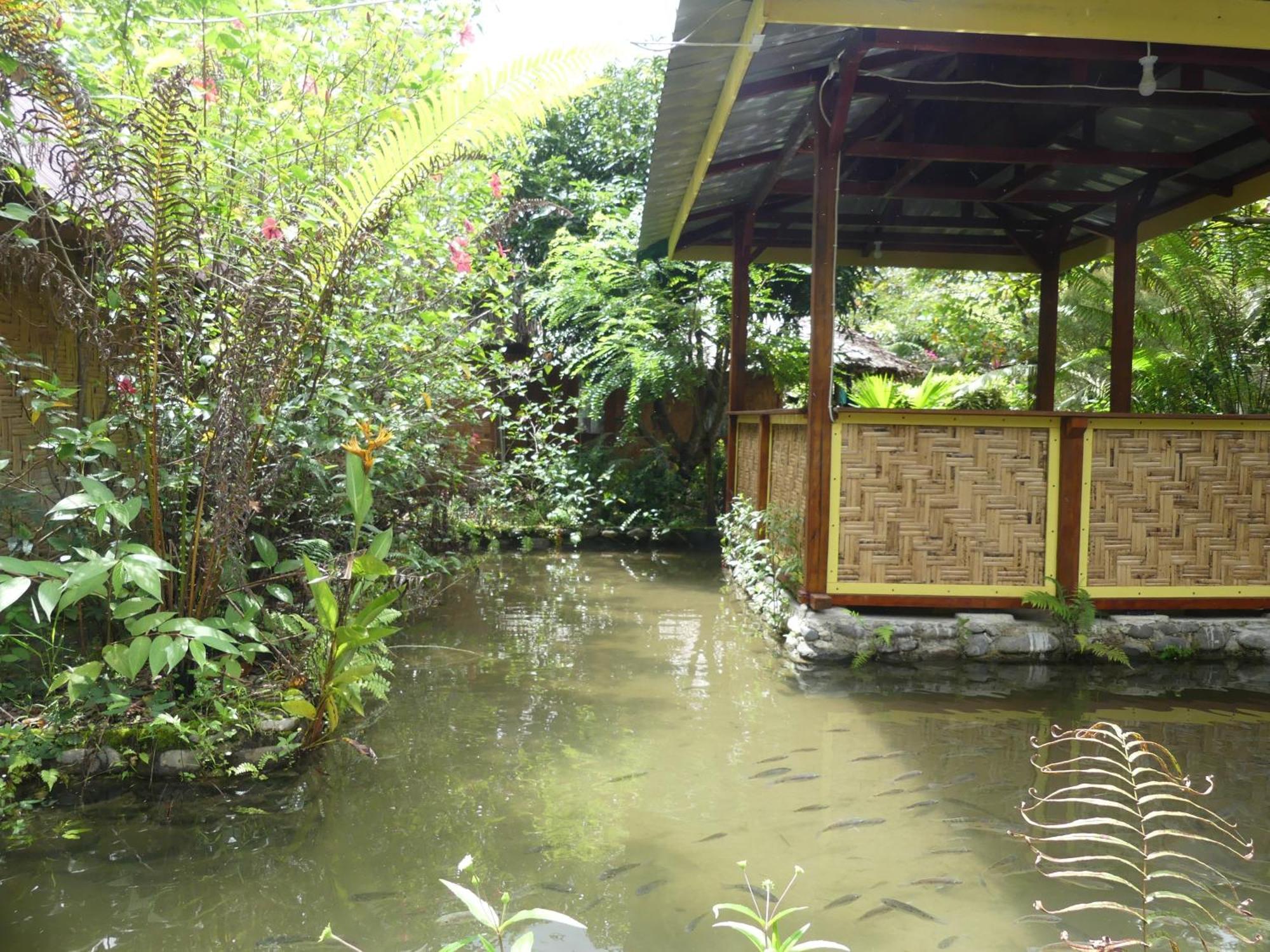 Magpie Homestay & Jungle Trekking Only For Guest Trekking With Us 부킷 라왕 객실 사진
