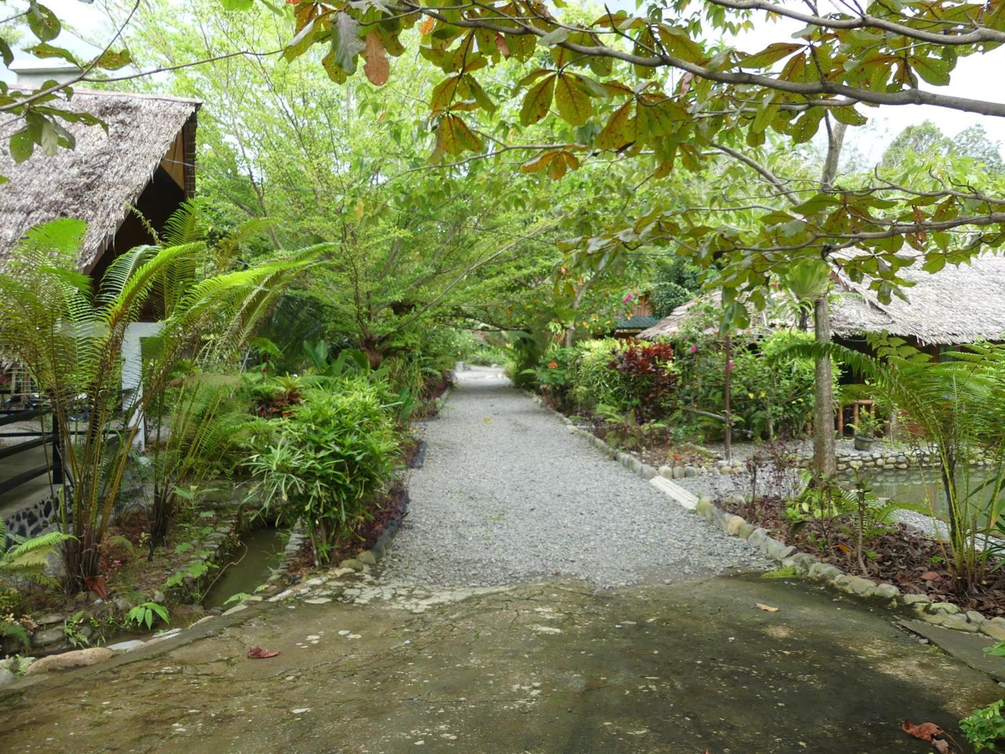 Magpie Homestay & Jungle Trekking Only For Guest Trekking With Us 부킷 라왕 외부 사진