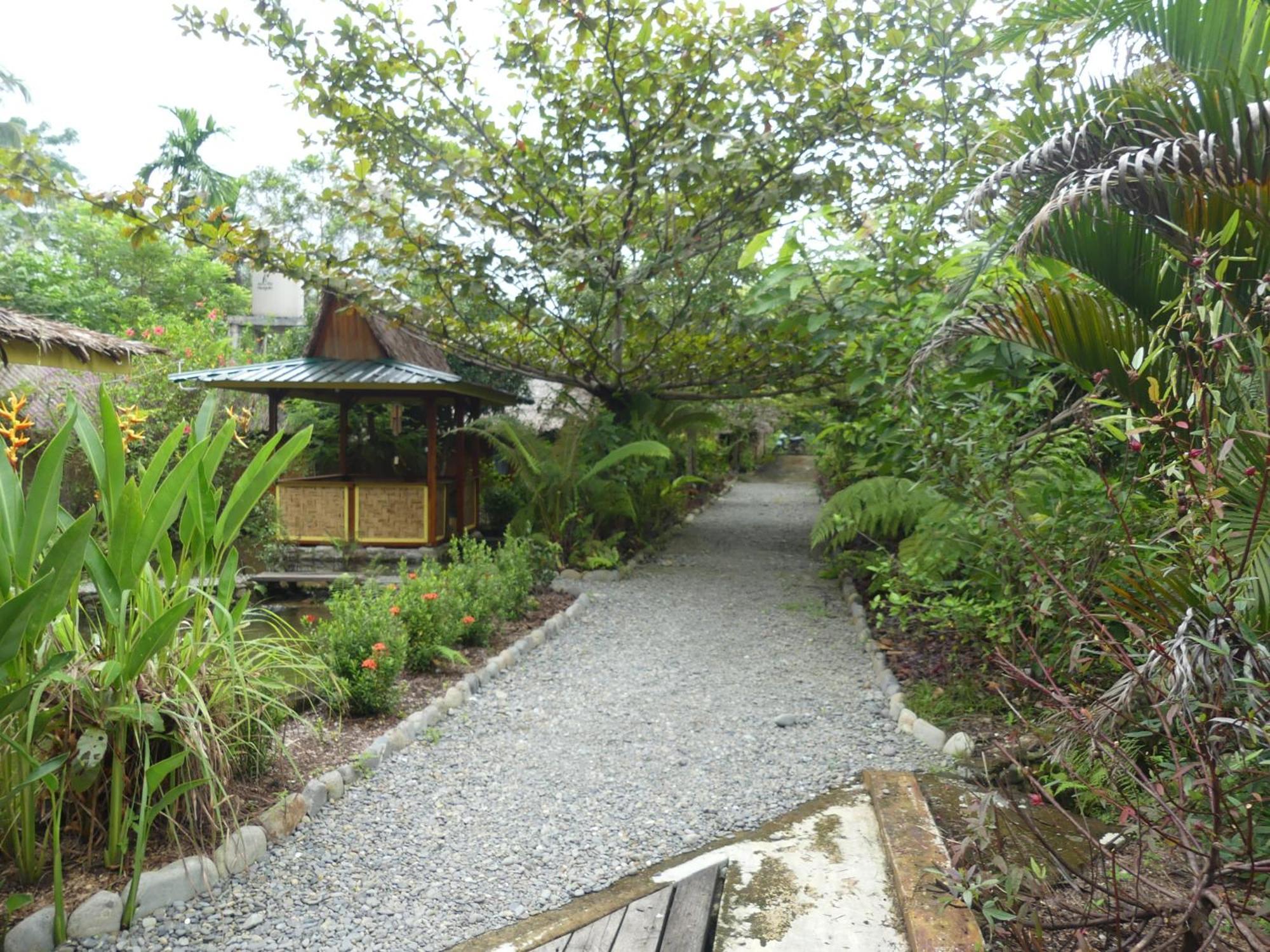 Magpie Homestay & Jungle Trekking Only For Guest Trekking With Us 부킷 라왕 객실 사진